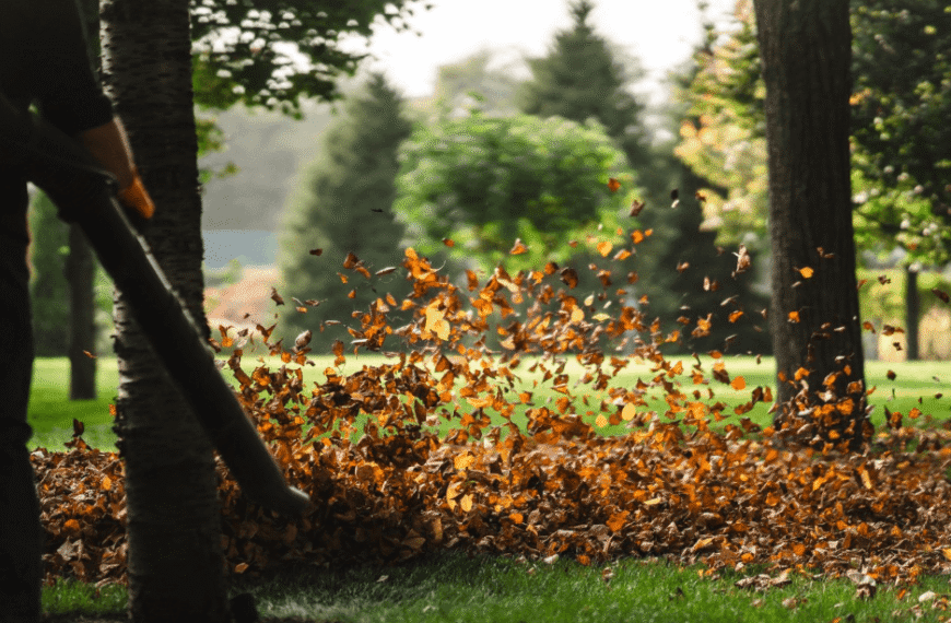 How Hiring Local Experts Transforms Hardscaping Near Me
