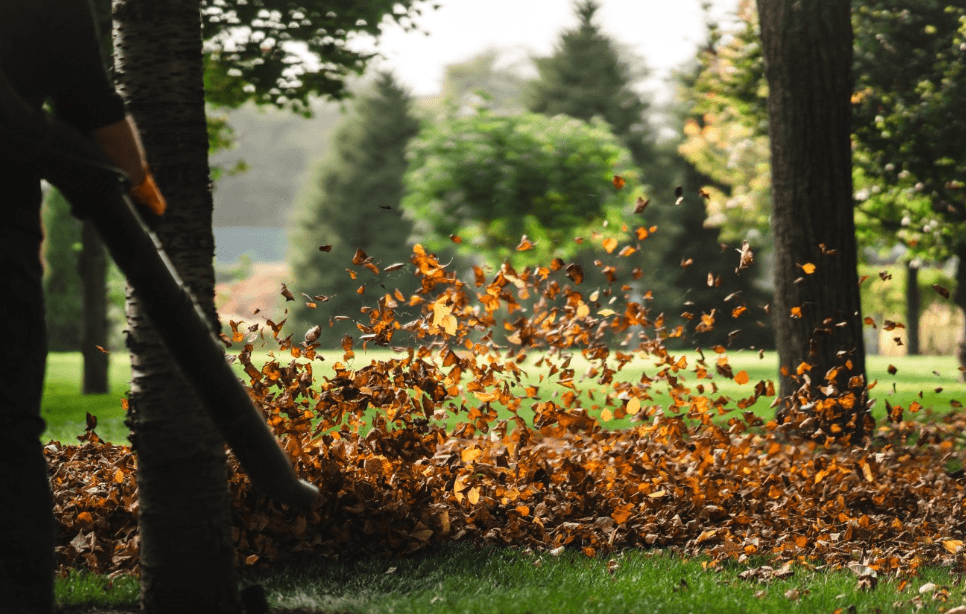 How Hiring Local Experts Transforms Hardscaping Near Me